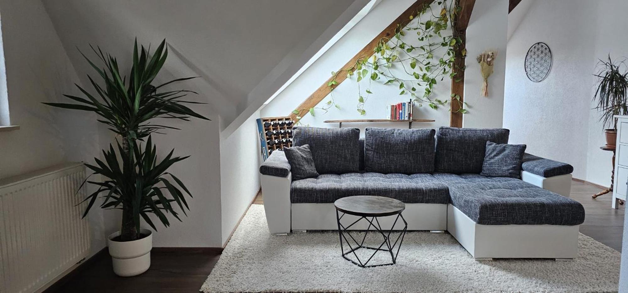 Seensucht & Urlaubstraeume, Ferienwohnung "Strand-Romantik" Senftenberg Dış mekan fotoğraf